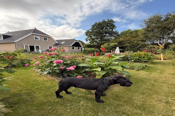 Fancy in Groet - Foto 26 van 26