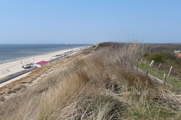 Zeeroos in Koudekerke-Dishoek - Foto 34 van 34
