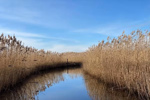 Vakantiepark Giethoorn 4 in Giethoorn - Foto 40 van 40