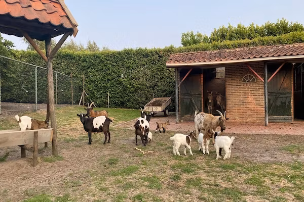 Pipowagen de Weideblick in Bergen op Zoom - Foto 43 van 43
