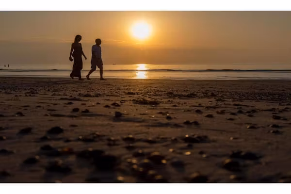 Résidence Wijngaerde 3 in Domburg - Foto 40 van 40