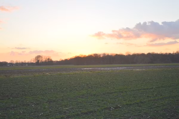 Bungalow 5 in Stramproy - Foto 39 van 39