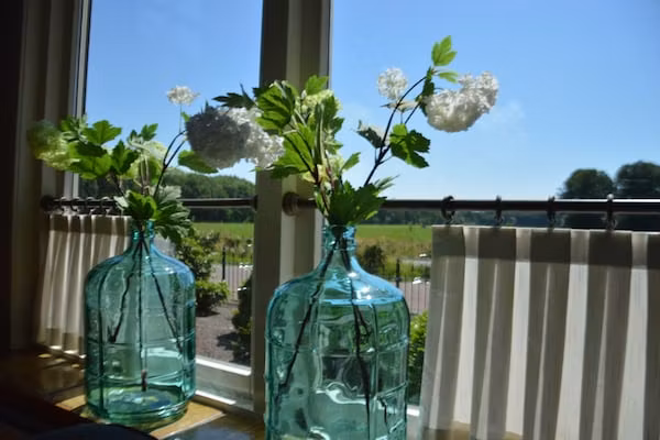 Little White Cottage in Nijeberkoop - Foto 38 van 38