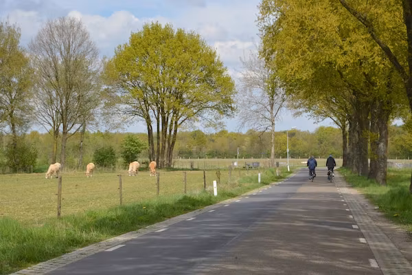 't Haasje in Stramproy - Foto 32 van 32