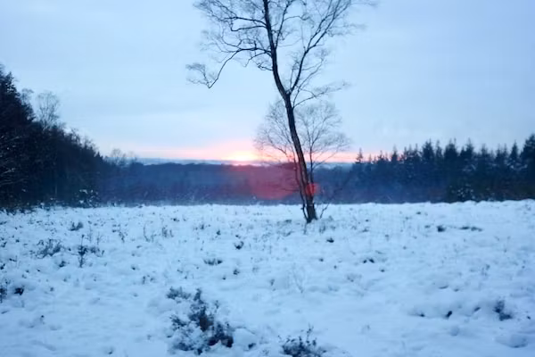 Vakantiepark de Tabaksschuur 2 in Elst - Foto 26 van 26