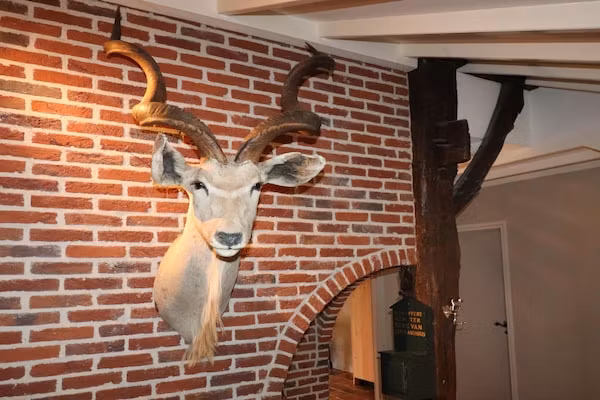 Landgoed de Klimberg in Rheezerveen - Foto 40 van 40