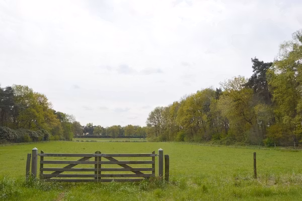 Bungalow 69 in Stramproy - Foto 32 van 32