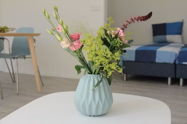 De Beukelaar 2pers in Schoorl - Foto 40 van 40