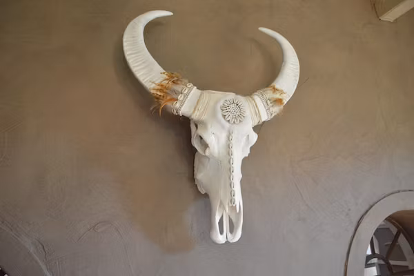 La Grande Maison Douce in Alphen - Foto 40 van 40