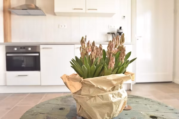 Hazenborgh - Studio Eb in Callantsoog - Foto 40 van 40