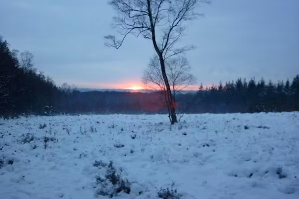 Vakantiepark de Tabaksschuur 3