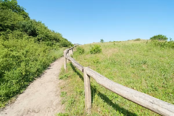 Sea Lodges Zandvoort 1 in Zandvoort - Foto 37 van 37