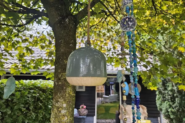 Vakantiehuis 'Het Atelier' in Sleen - Foto 44 van 44