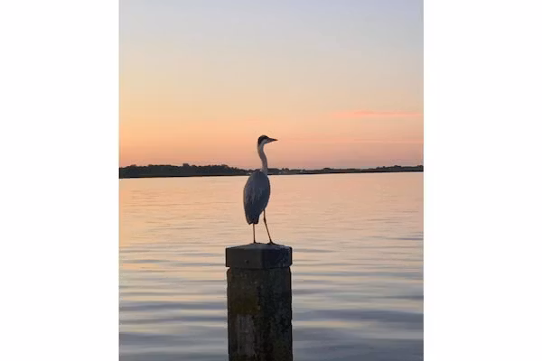 Houseboat Earrebarre - Paviljoenwei 1 - Offingawier