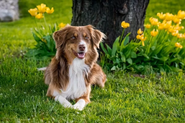 De Veluwse Hoevegaerde 1 in Putten - Foto 38 van 38