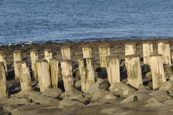 Zuidstraat 103 in Westkapelle - Foto 40 van 40