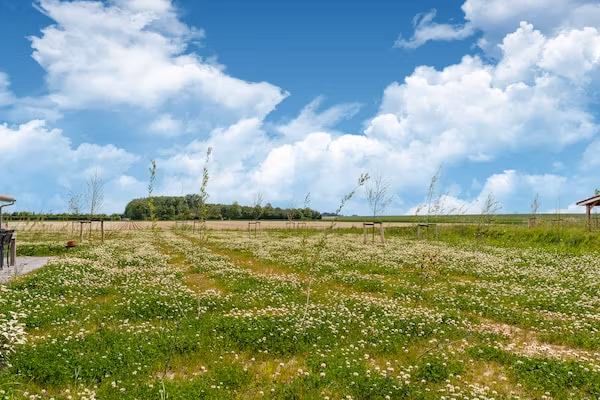De Scholekster Huis Nr 14 in Scherpenisse - Foto 40 van 40