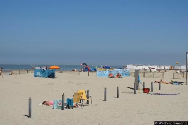 Kaapsduin in Nes - Foto 40 van 40