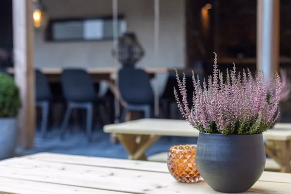 'Herberg De Waard van Ternaard'