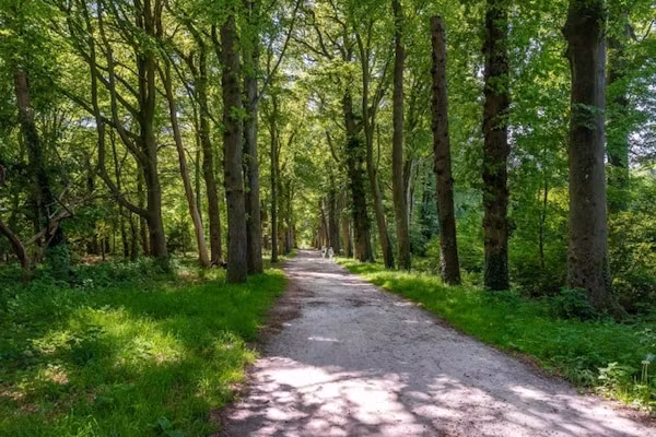 Resort de Parel 4 in Zeewolde - Foto 40 van 40