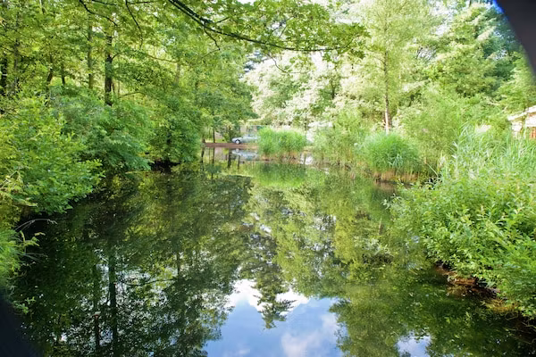 Vakantiepark de Berkenhorst 12 in Kootwijk - Foto 16 van 16