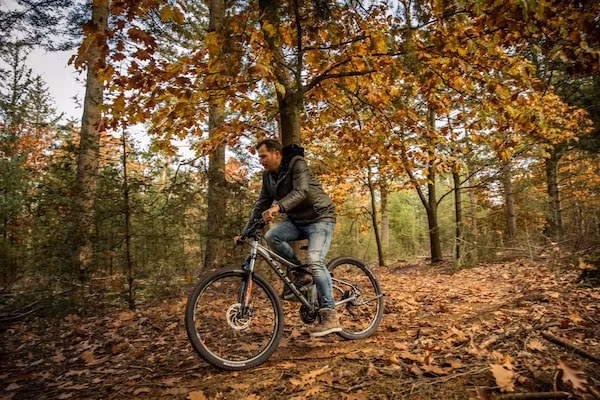 Vakantiepark De Heihorsten 10 in Someren - Foto 40 van 40