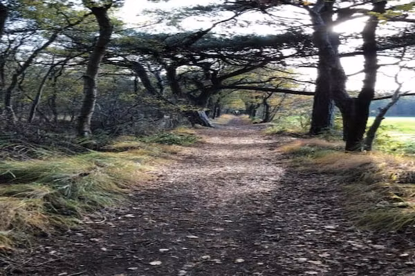 Recreatiepark Idskenhuizen 1 in Idskenhuizen - Foto 45 van 45