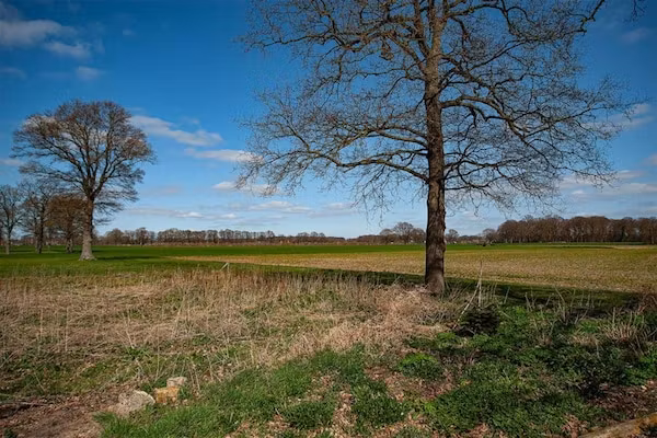 Vakantiewoning de Zwaluw in Eibergen - Foto 40 van 40