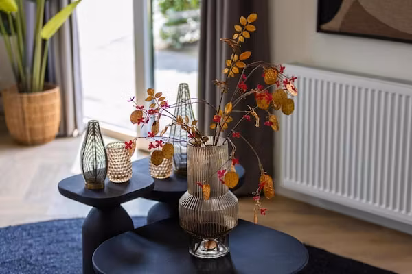 Vakantiepark Latour 8 in Oirschot - Foto 40 van 40