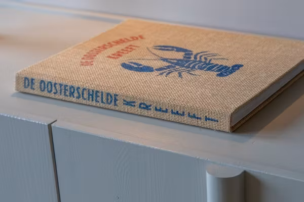 Zoutelande 'Kurhaus appartement nr 1 in Zoutelande - Foto 40 van 40