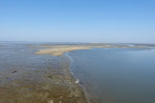 13-17 pax holiday home with separated apartments and gardens in Ternaard - Foto 37 van 37