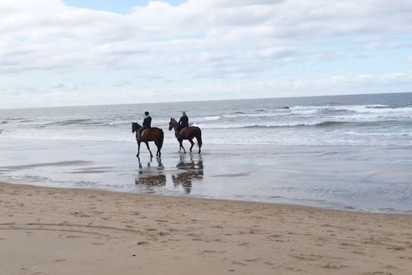 470866 in Julianadorp aan Zee - Foto 29 van 29