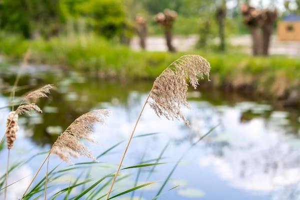 Kaag in Oud Ade - Foto 25 van 25