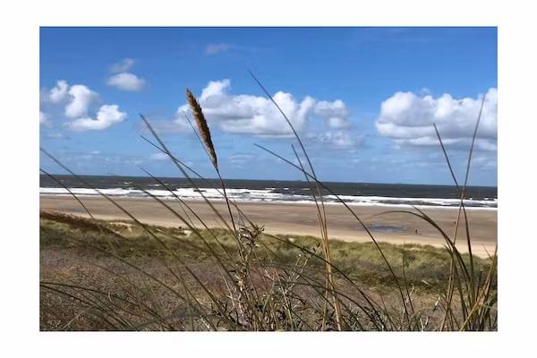 245445 in Ouddorp - Foto 20 van 20