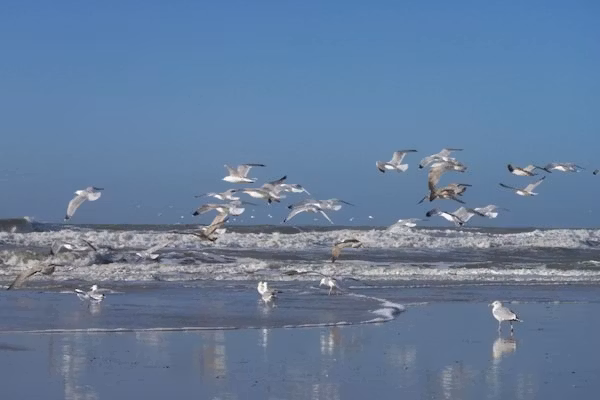 32002 in PP Julianadorp aan Zee - Foto 21 van 21