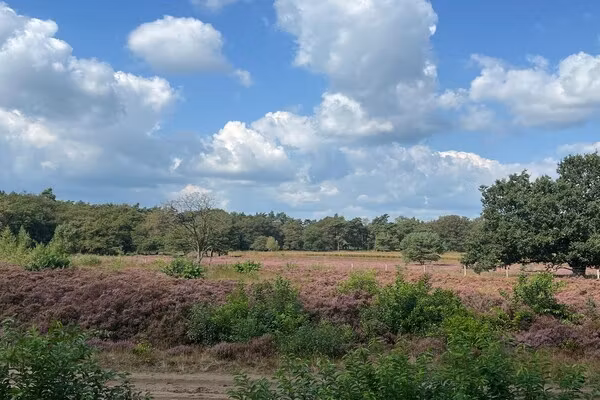 De Riek 4P in De Kiel - Foto 2 van 32