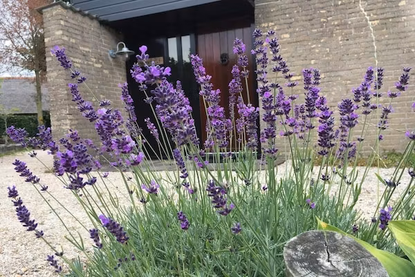 De Schelp 07 in Sint Maartenszee - Foto 30 van 30