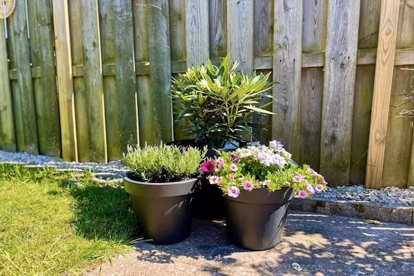 Eb en Vloed 62 in Sint Maartenszee - Foto 34 van 34