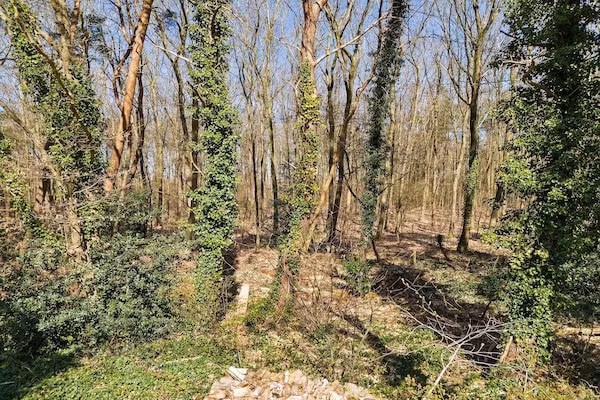 Ermerzand Retreat in Erm - Foto 30 van 30