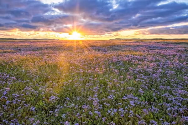 Bungalow 309 in De Koog - Foto 20 van 20