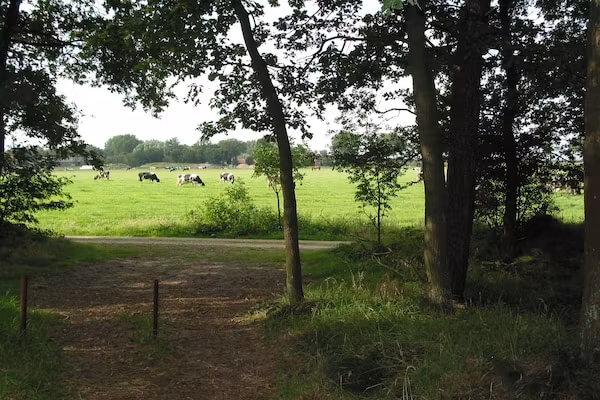 Vakantiepark Herperduin 6 in Herpen - Foto 23 van 23