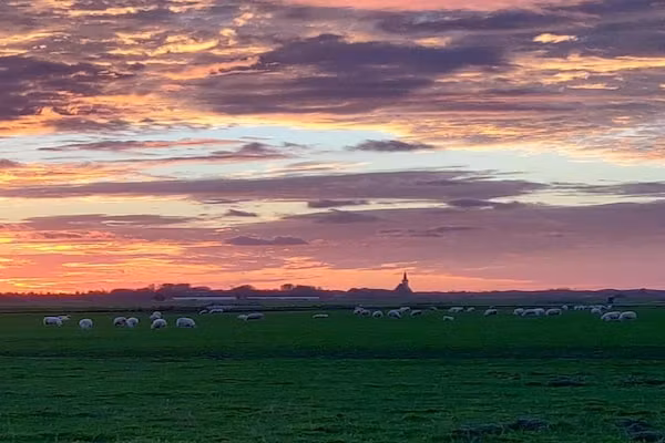 Kustpark Texel 6 in De Koog - Foto 40 van 40