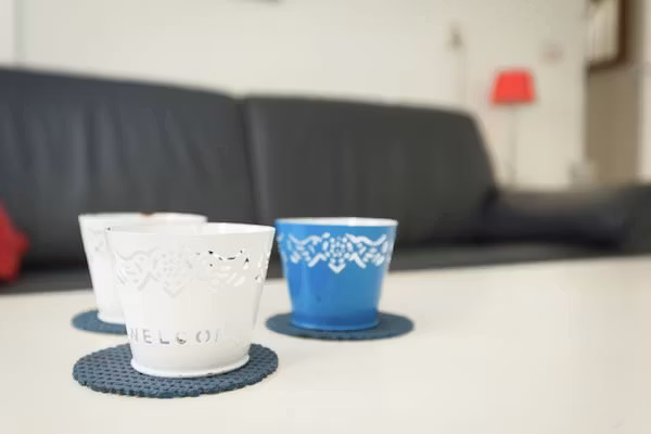 De Meerkoet in Oudemirdum - Foto 40 van 40