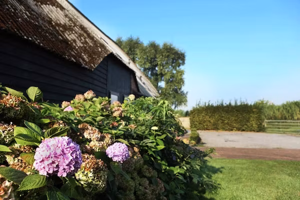 Appartement De Hooizolder in Eede - Foto 40 van 40