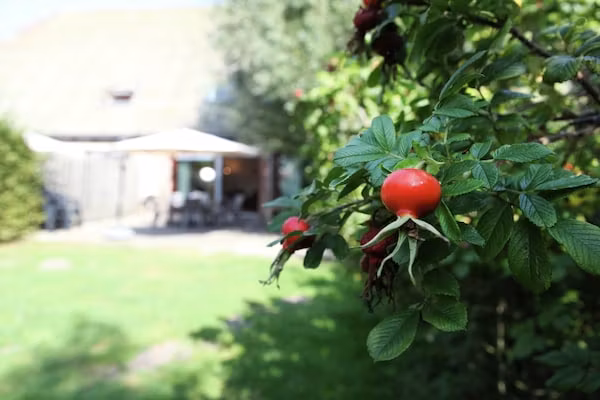 Appartement De Dorsvloer in Eede - Foto 35 van 35