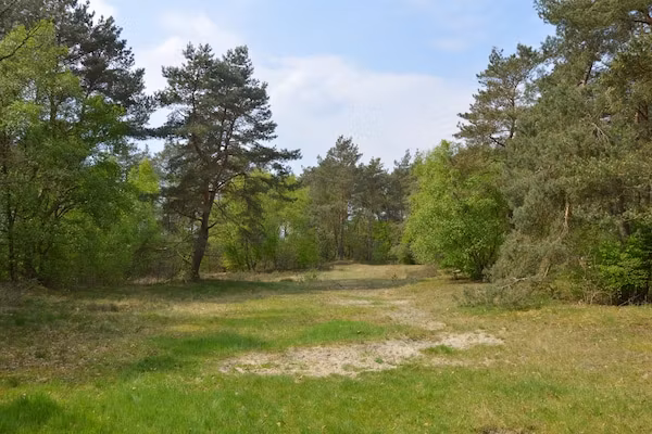 Dapama in Beerze - Foto 40 van 40