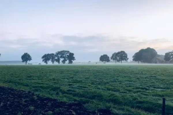 Bospark Lunsbergen 6 in Borger - Foto 40 van 40