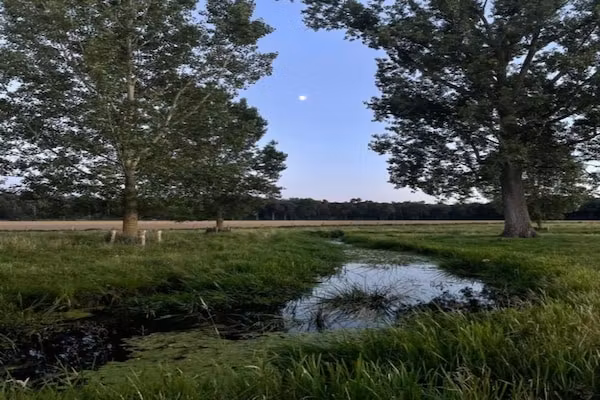 Buitenhof De Leistert 18 in Roggel - Foto 40 van 40