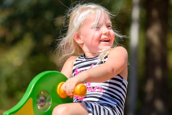 Recreatiepark Tolplas 8 in Hoge Hexel - Foto 40 van 40