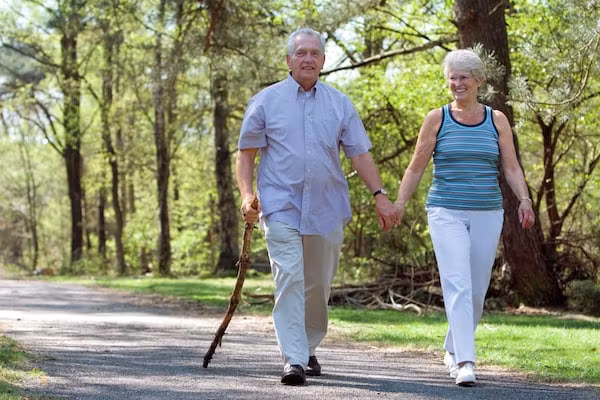 Vakantiepark de Berkenhorst 5 in Kootwijk - Foto 13 van 13